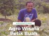Wisata Petik Buah JT Farm