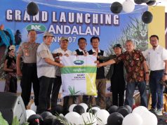 Benih Andalan untuk Meningkatkan Produksi Jagung