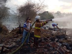32 Kandang Kerbau Hangus Terbakar