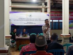 Pakan Ternak Alternatif dengan Pakan Fermentasi