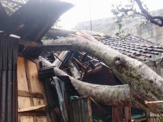 41 Rumah dan 1 Musholah di Desa Bulakan Rusak Diterjang Angin Puting Beliung