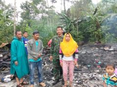 Kebakaran di Desa Gambuhan
