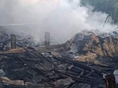 6.000 Ekor Ayam Ternak Milik Warga Hangus Terbakar