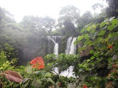Tim KKN Undip Kembangkan Kawasan Curug Bengkawah Bersama Disporapar Jateng
