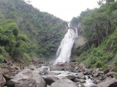 Mahasiswa KKN Tim 1 Undip Berkolaborasi bersama Perangkat Desa Simpur Kembangkan Wisata Curug Barong