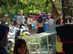 Geger, Pembunuhan Di Desa Majalangu