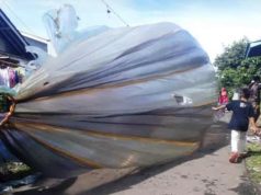 Balon Udara Berterbangan di Langit