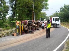 Truk Bermuatan Bambu Terguling, Satu Orang Tewas
