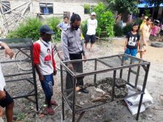 Ular Sanca Sepanjang 3 Meter Serang Petani