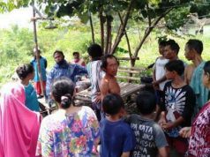 Seorang Kakek Tewas Tersengat Tawon Vespa di Kebun