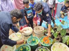 Budikdamber, Solusi Kreatif Menjaga Ketahanan Pangan dan Ekonomi Keluarga di Masa Pandemi