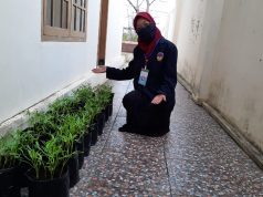 Mahasiswa KKN UPGRIS Edukasi Warga Menanam Kangkung Dalam Polybag