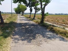 Data Ruas Jalan Yang Akan Diperbaiki Di Wilayah Kecamatan Bantarbolang