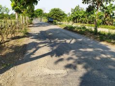 Data Ruas Jalan di Pemalang yang Akan Segera Diperbaiki di Wilayah Kecamatan Moga