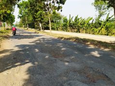 Data Ruas Jalan Yang Akan Diperbaiki Di Wilayah Comal, Ampelgading, Petarukan, Taman, Pemalang