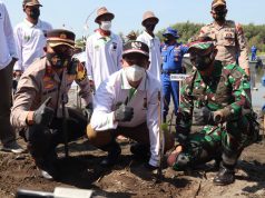 Cegah Abrasi, Polres Pemalang Tanam Bibit Mangrove di Pantai Muara Indah Asemdoyong
