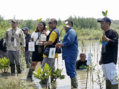 PT Link Net Tanam 3.000 Mangrove di Desa Pesantren Pemalang: “New Home-Pass, New Tree”