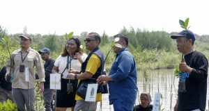 PT Link Net Tanam 3.000 Mangrove di Desa Pesantren Pemalang: “New Home-Pass, New Tree”